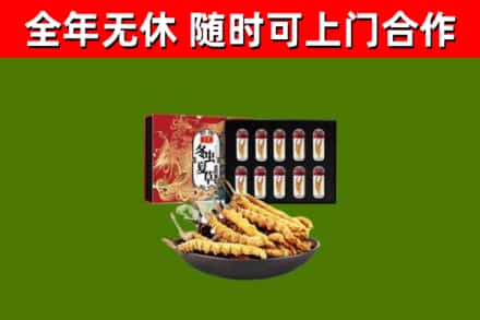 大渡口区烟酒回收冬虫夏草礼盒.jpg